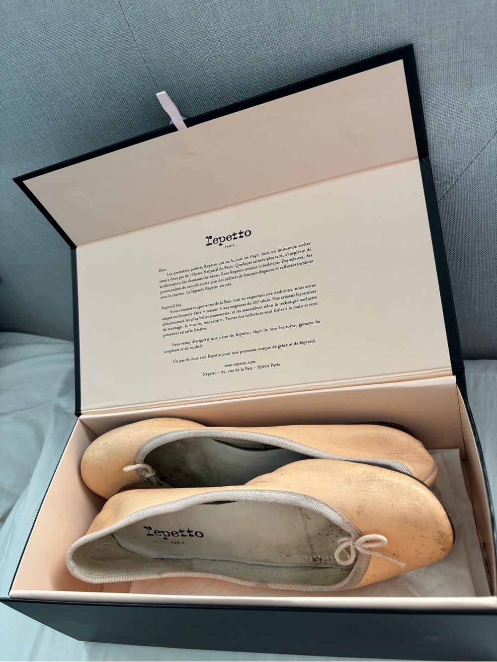 Repetto “Cendrillon” Pink Ballet Flats